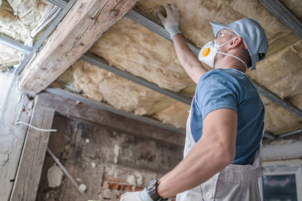 Best Insulation Removal Services  in Southside, AL