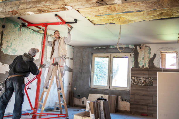 Best Insulation Replacement Services  in Southside, AL