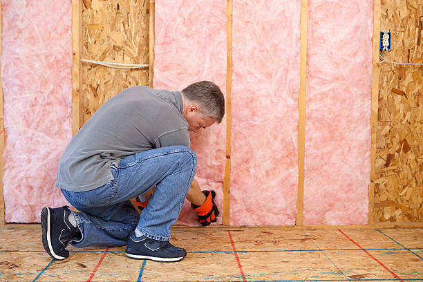 Best Insulation for New Construction  in Southside, AL