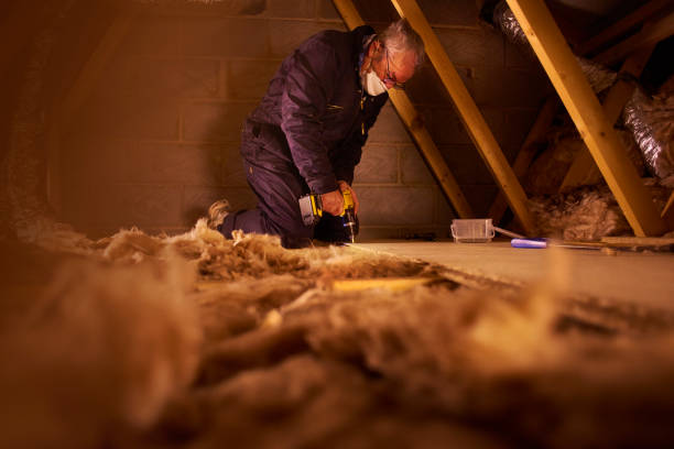 Best Crawl Space Insulation  in Southside, AL